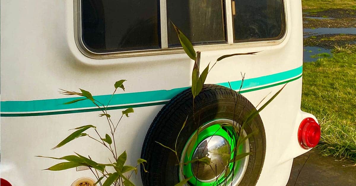 Fiberglass RV with green trim and spare tire, surrounded by plants, highlighting the need for professional RV repair services.